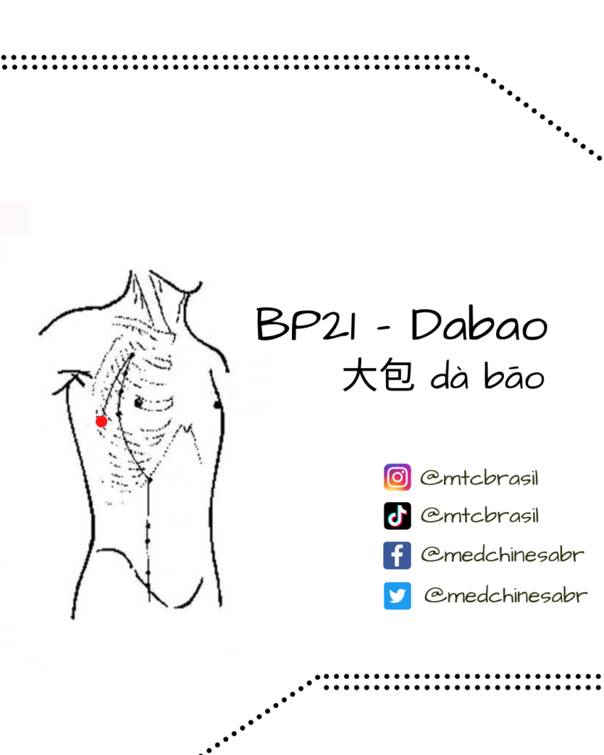 BP21 - Dabao 大包 | Medicina Tradicional Chinesa - Brasil