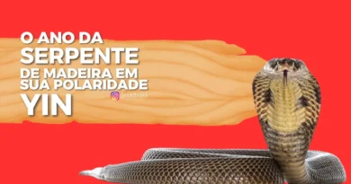 O Ano da Serpente