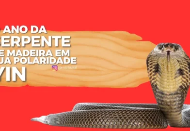 O Ano da Serpente