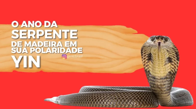 O Ano da Serpente